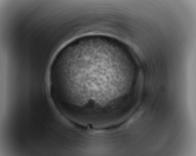 X0000092261522200709211110