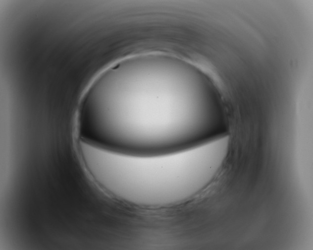 X0000092261524200709211110