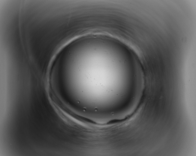 X0000092261525200709211110