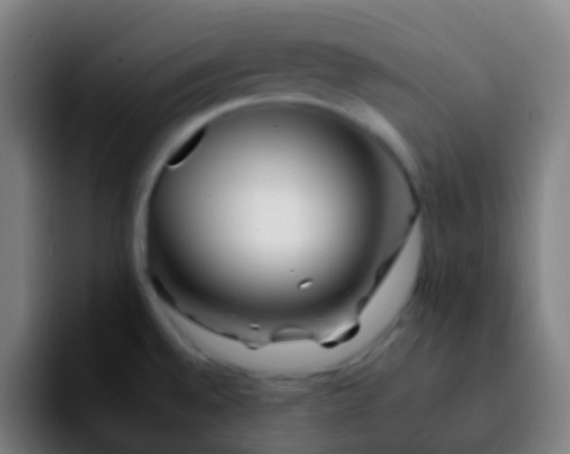 X0000092261528200709211110