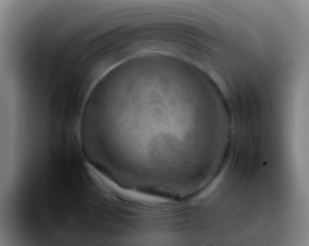 X0000092261529200709211110