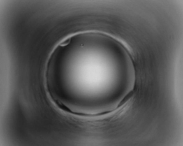 X0000092261534200709211110