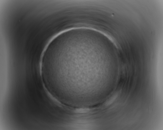 X0000092261535200709211110