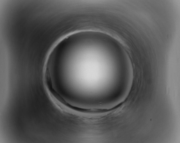 X0000092261536200709211110