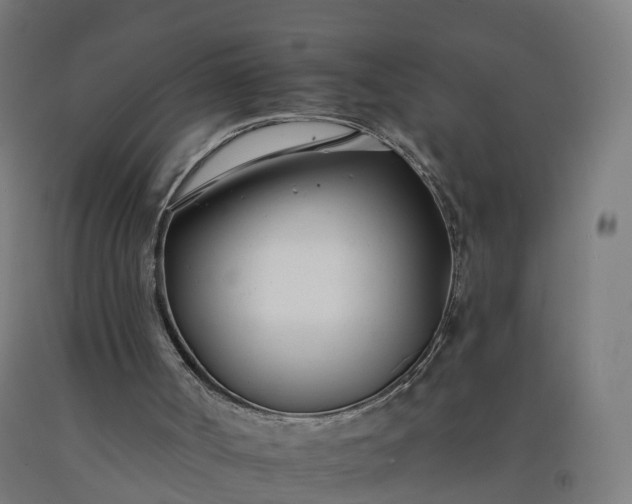 X0000092260002200709281213