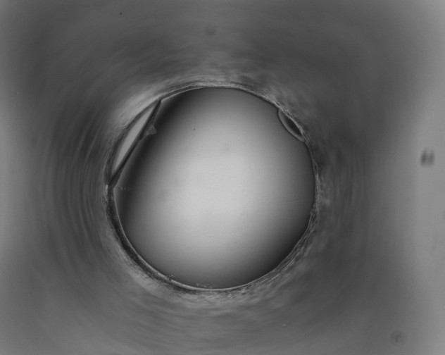 X0000092260005200709281213