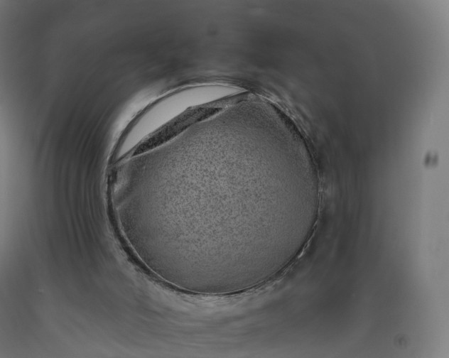 X0000092260006200709281213