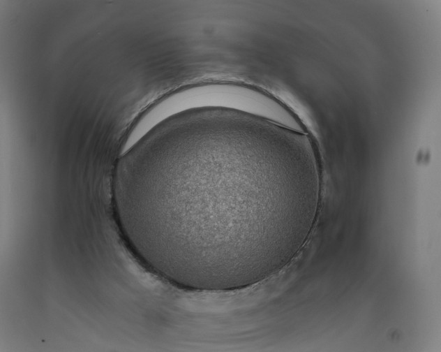 X0000092260009200709281213