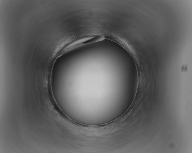 X0000092260010200709281213