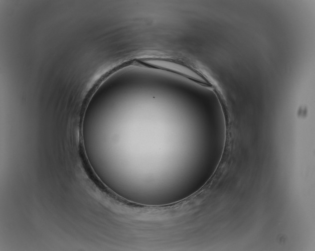 X0000092260011200709281213