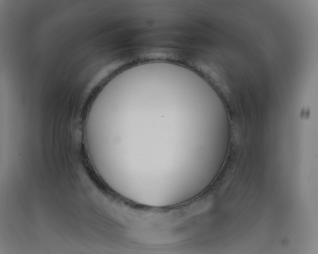 X0000092260016200709281213