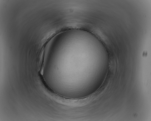 X0000092260023200709281213