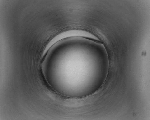 X0000092260025200709281213