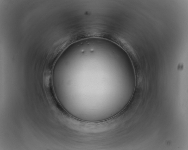 X0000092260026200709281213