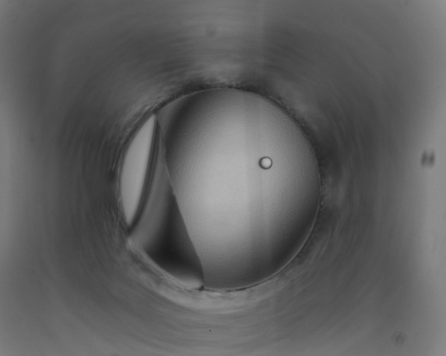 X0000092260027200709281213