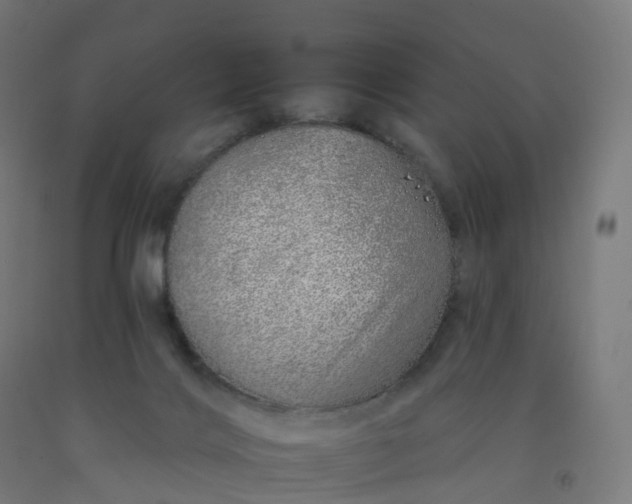 X0000092260028200709281213