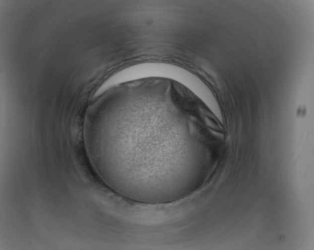 X0000092260029200709281213