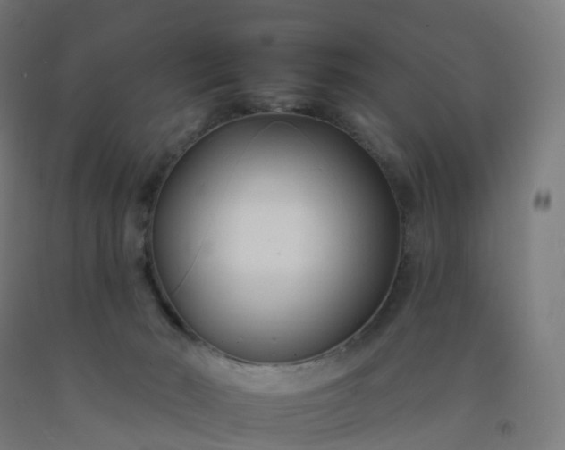 X0000092260030200709281213