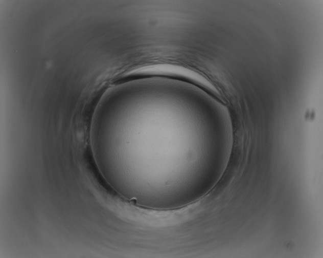 X0000092260031200709281213