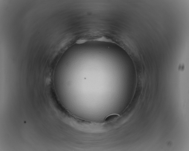 X0000092260032200709281212