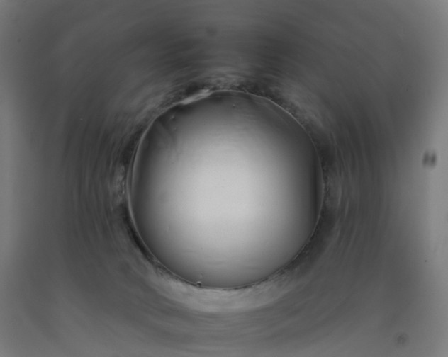 X0000092260034200709281212