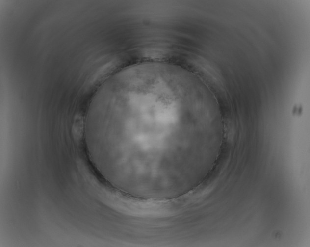 X0000092260036200709281212