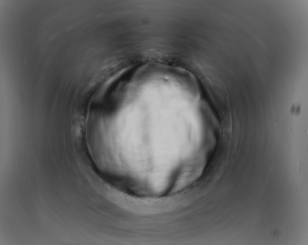 X0000092260038200709281212