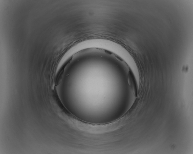 X0000092260039200709281212