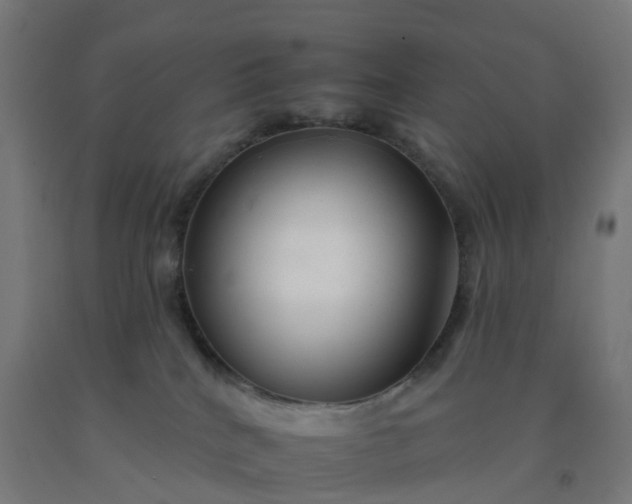 X0000092260040200709281212