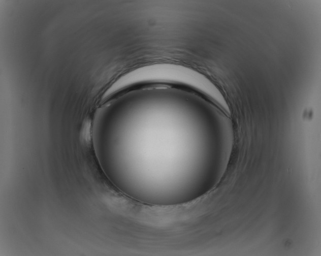 X0000092260041200709281212