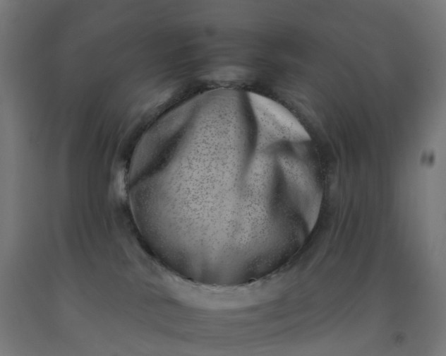 X0000092260042200709281212