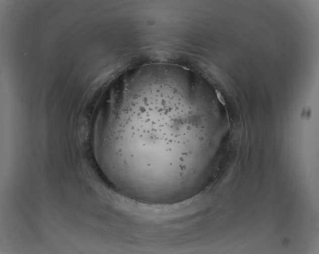 X0000092260043200709281212