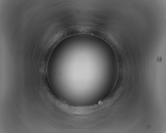 X0000092260044200709281212