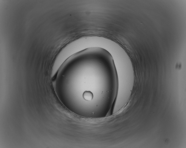 X0000092260045200709281212