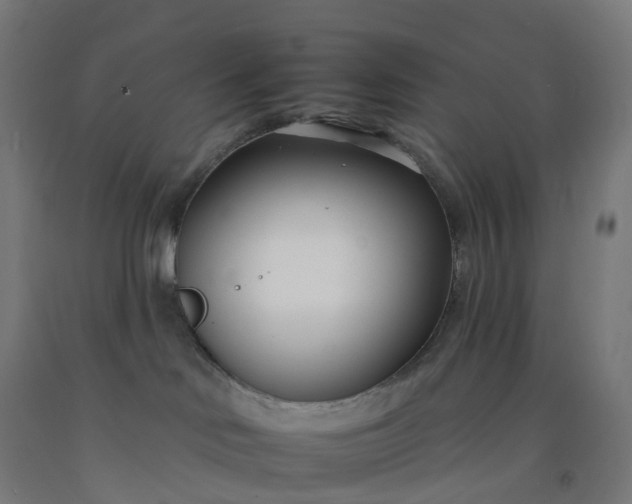 X0000092260046200709281212