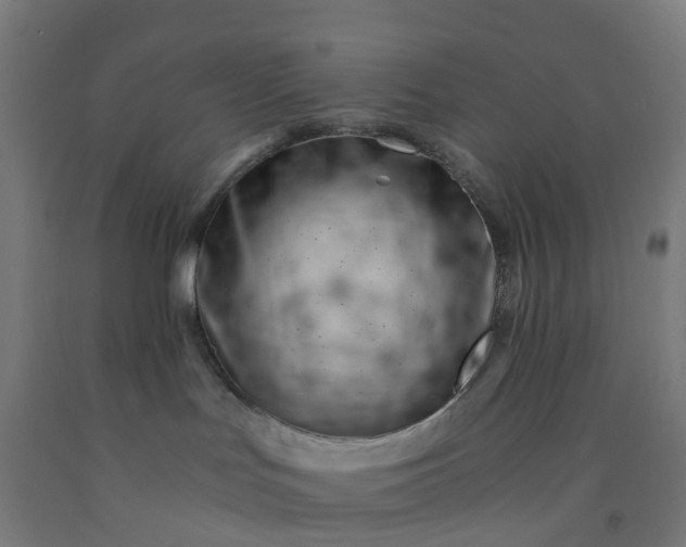 X0000092260047200709281212