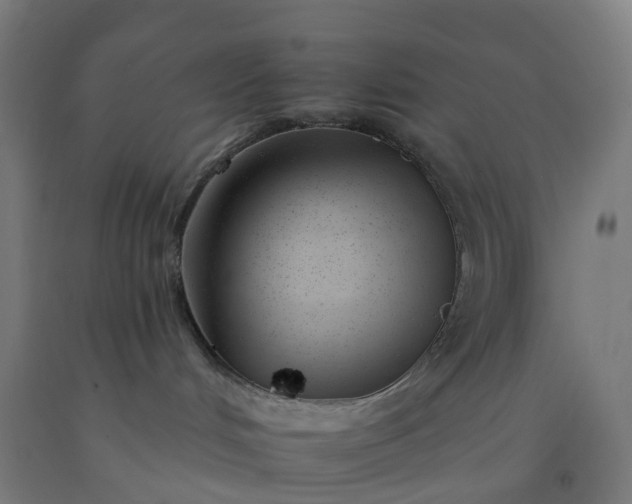 X0000092260048200709281212