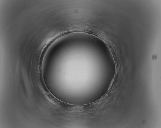 X0000092260050200709281212