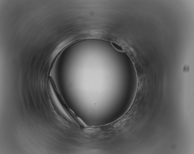 X0000092260051200709281212