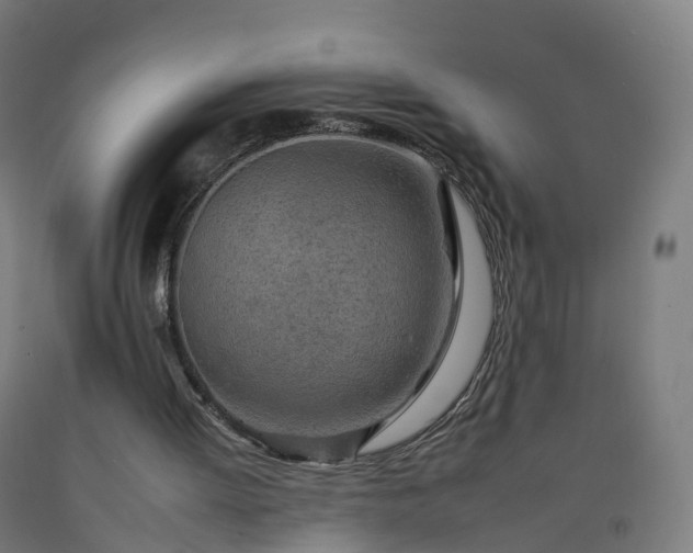 X0000092260052200709281212