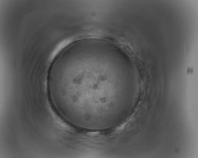 X0000092260054200709281212