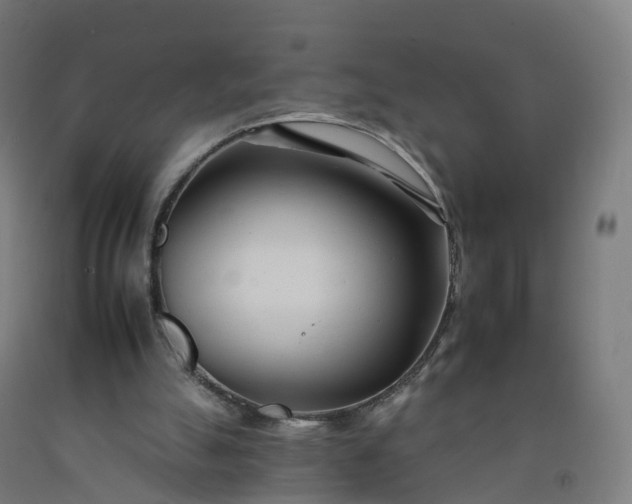 X0000092260055200709281212