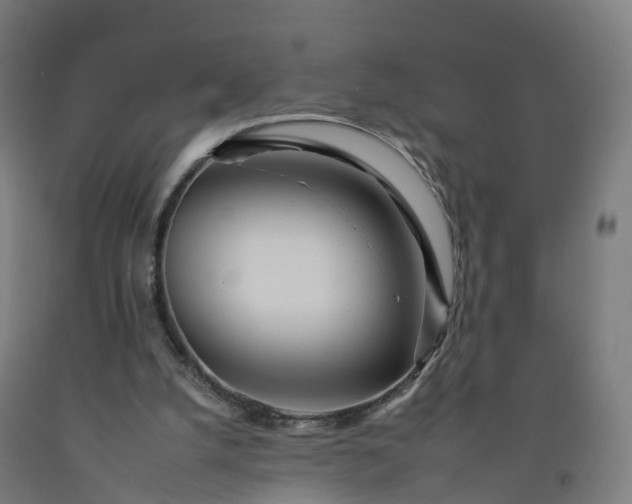 X0000092260056200709281212