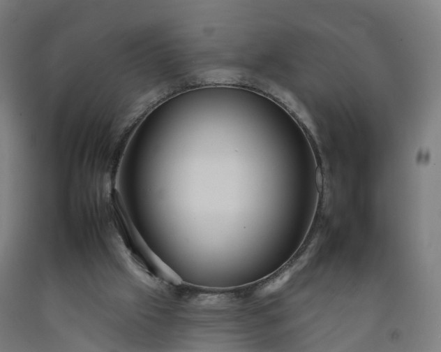 X0000092260057200709281212