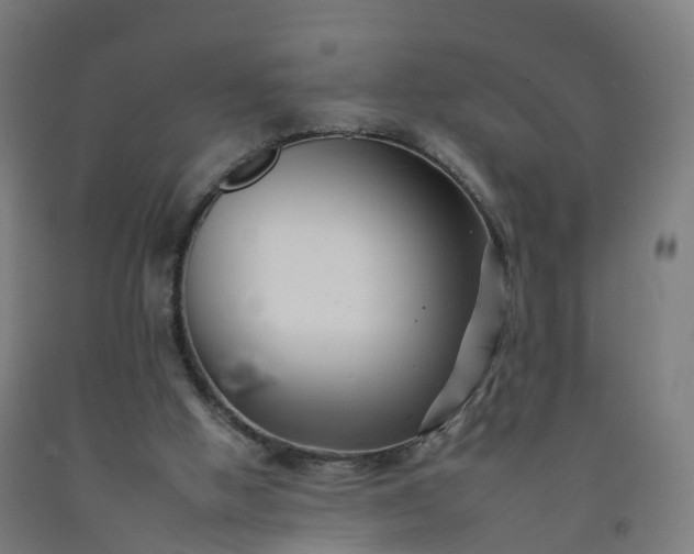 X0000092260058200709281212