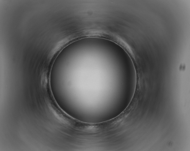 X0000092260059200709281212