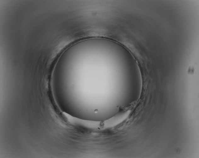 X0000092260060200709281212