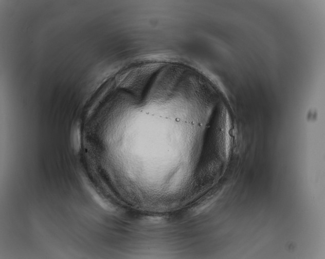 X0000092260061200709281212