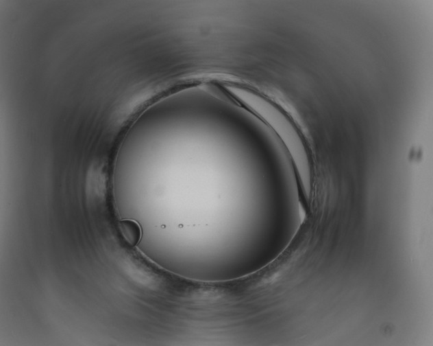 X0000092260063200709281212