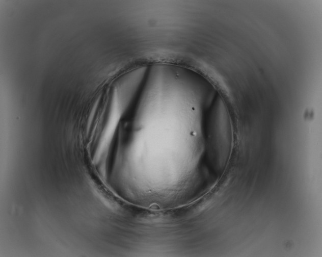 X0000092260065200709281212